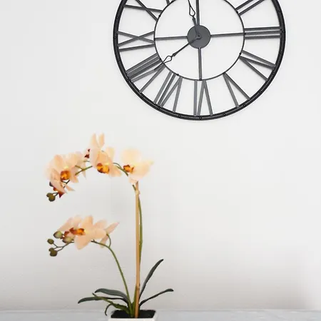 Atalaya * 빌라시미우스